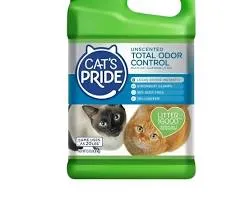 [T159900] Arena gato frenezy